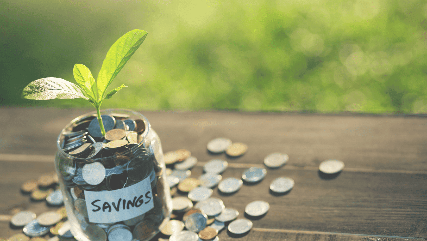 How to save money in the new year.